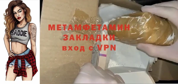 шишки Покачи