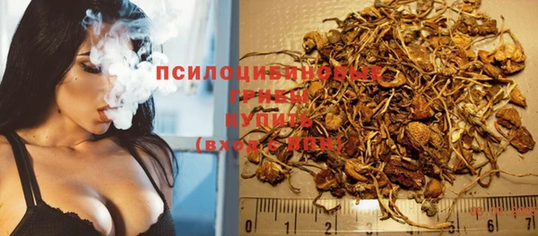 сатива Аркадак
