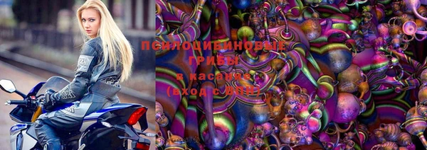 шишки Покачи