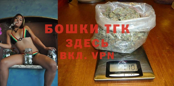 шишки Покачи
