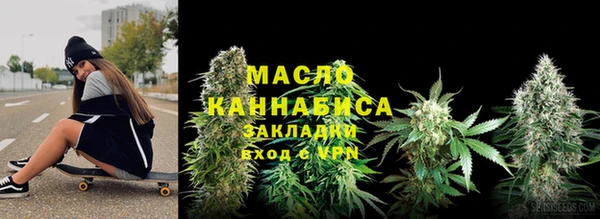 сатива Аркадак